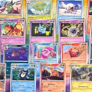 Pokémon Cuties Trading Card Collection, Japanese